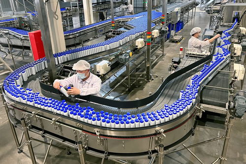 投資超70億元 伊利助推寧夏奶業(yè)高質量發(fā)展